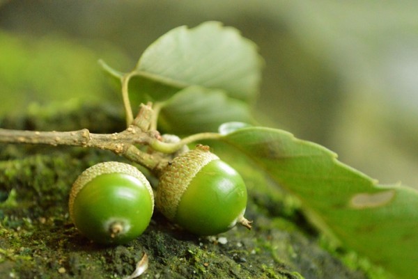 CSC_0016 - コピー