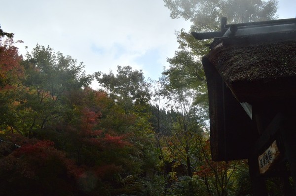 CSC_0447 - コピー