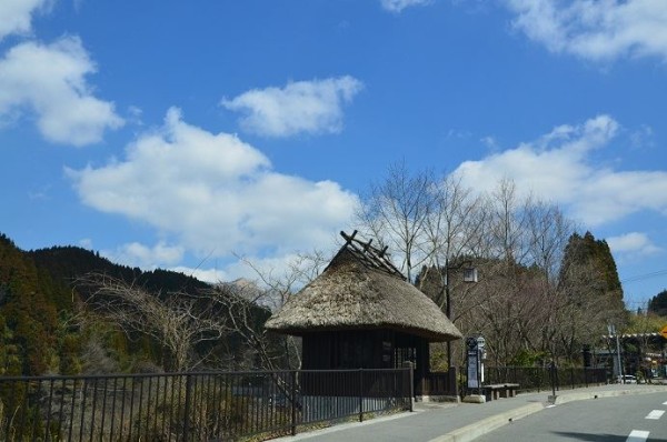 10151769_716226821733561_1897702388_n[1]