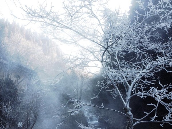 64532_269936746466511_1313746838_n[1]