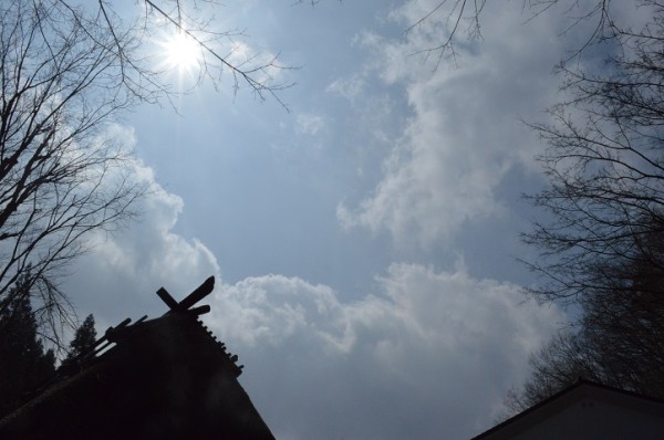 DSC_2121 - コピー