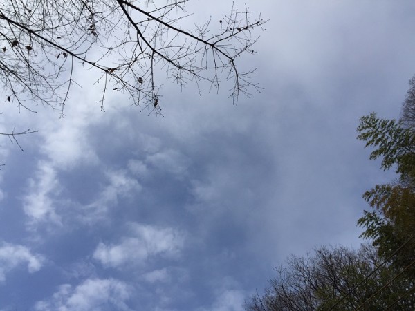 IMG_4856 - コピー