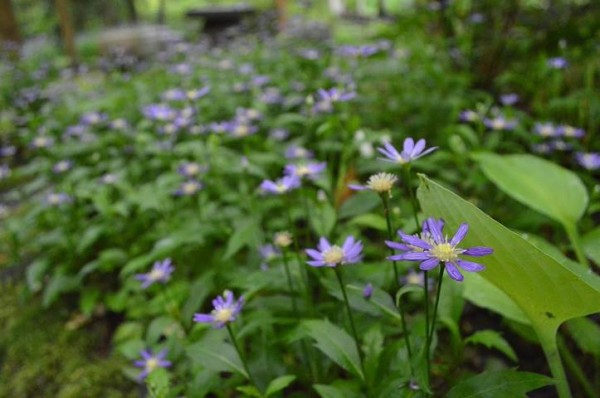 10501963_928210630535178_7697511084563048813_n[1]