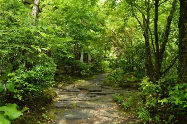 11264968_928210627201845_3878089161627557782_n[1]