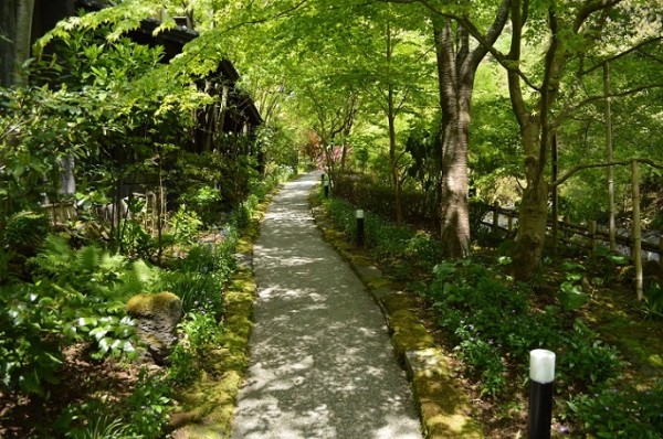 DSC_2750 - コピー