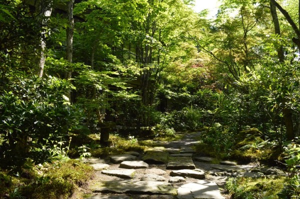 DSC_2961 - コピー