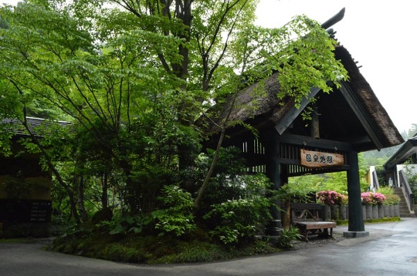 DSC_3588 - コピー