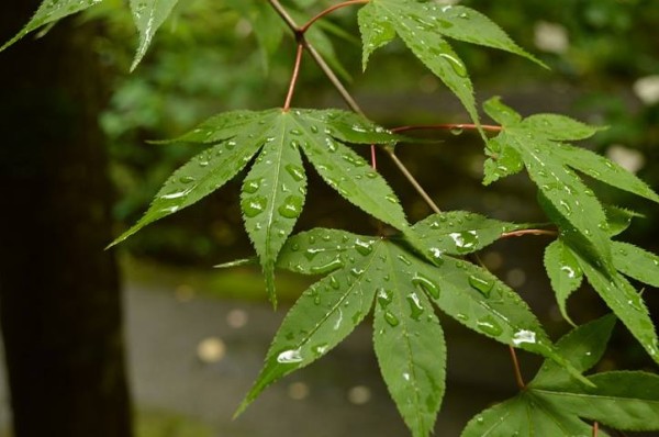 10363097_765151020174474_4964882901116007738_n