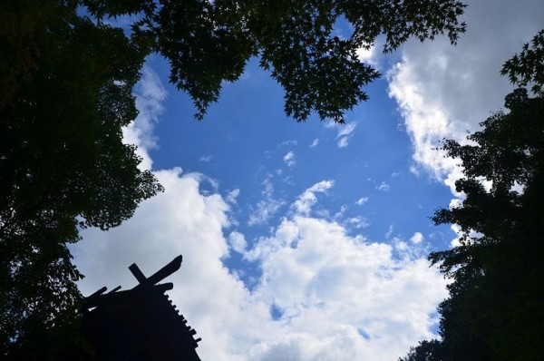 11742879_961844373838470_6053495480273269018_n