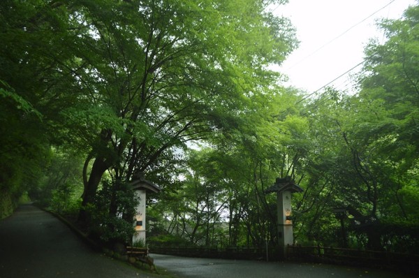 CSC_4102 - コピー