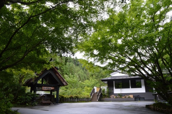 DSC_3785 - コピー