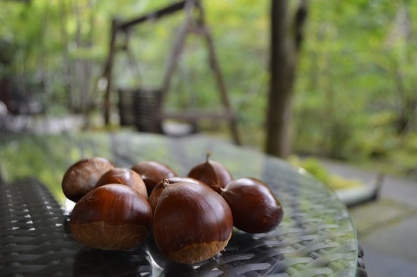 DSC_4848 - コピー