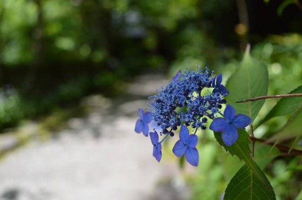 11392881_937901719566069_2029571155457738798_n