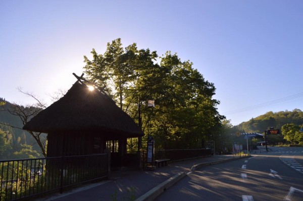 13166078_1124217297601176_7792207240853962195_n