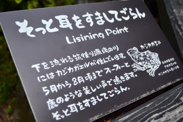 13237823_1132549566767949_2015303247770461458_n