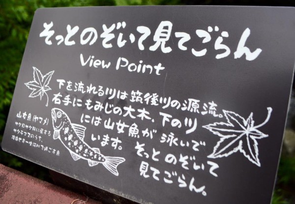 13244891_1132549693434603_1949590919689867623_n