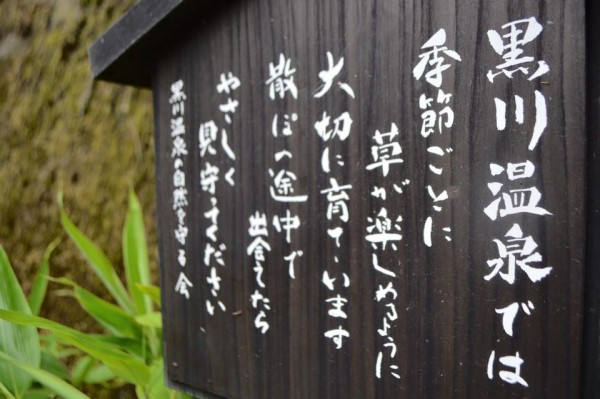 13256304_1132549660101273_6387209474191542433_n