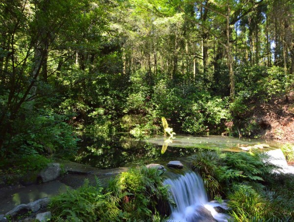 13537723_1156316161057956_419408245011818521_n