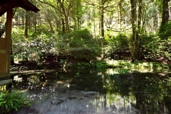 13590391_1156316171057955_4578906800748942194_n