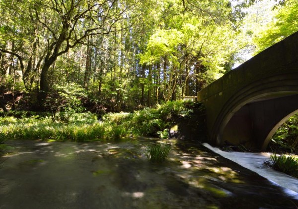 13592271_1156316184391287_7628175261363130660_n