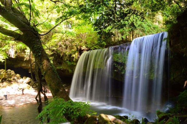 13895197_1174199735936265_5613719589479846551_n