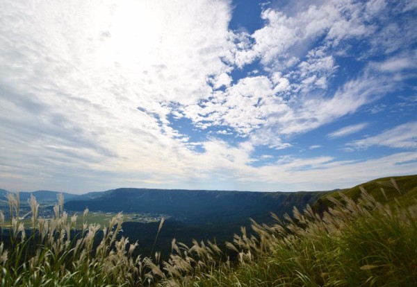 14502774_1234218056601099_1261430993559774362_n