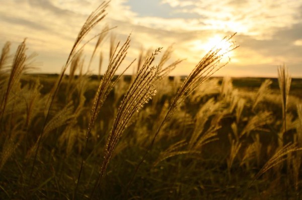 14713720_1234218089934429_1216912093464543871_n