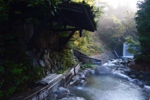 14721547_1249046311784940_8718689353524585385_n