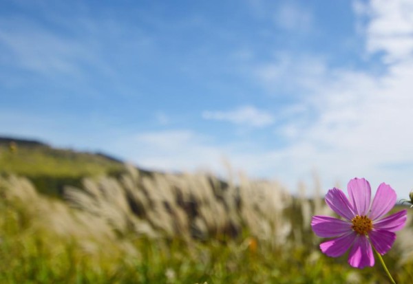 14721638_1242741422415429_5503130167107414676_n