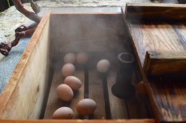 14725536_1248548361834735_5545103783195526332_n