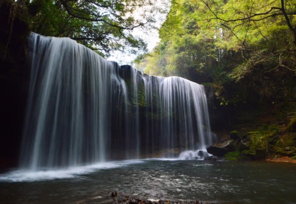 14732209_1247298495293055_2593663029688861836_n