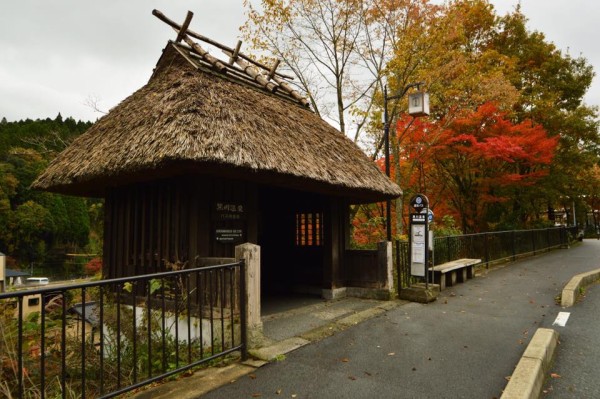 14947970_1267642013258703_6135383043237749927_n