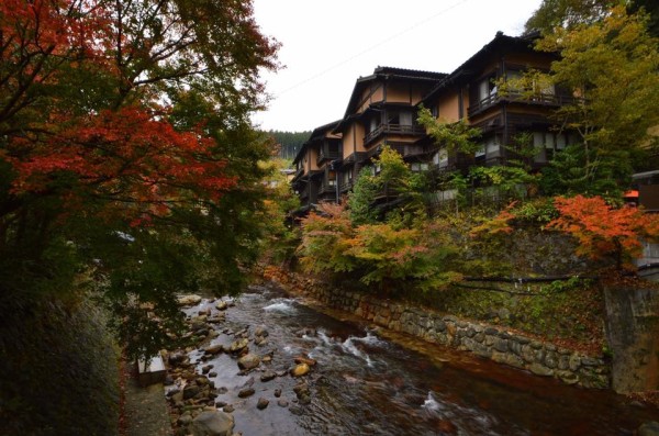 14955821_997661577027354_195704169138154260_n