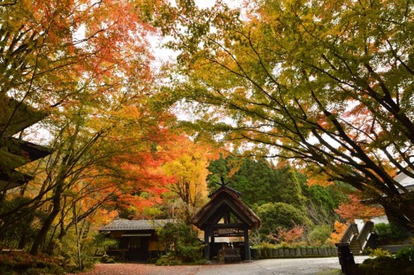 15078613_1267641983258706_8125575379031416129_n