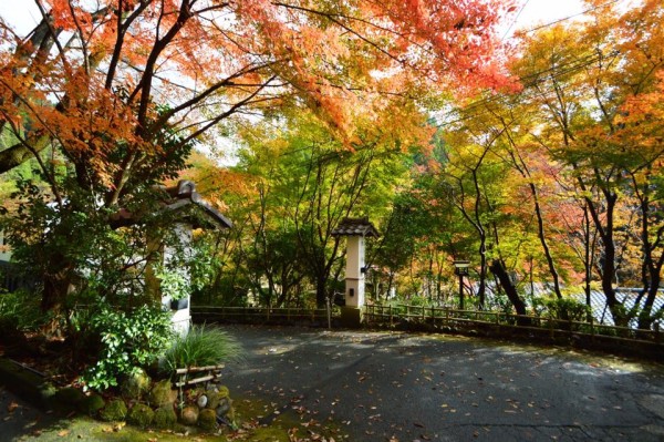 15085580_1268678509821720_1825318643701446342_n