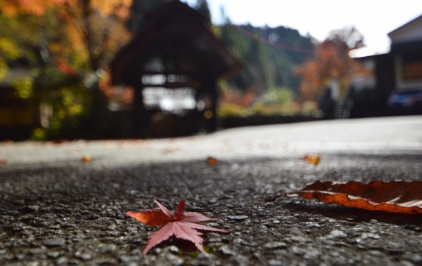 15094408_1270384829651088_3186675377064834778_n